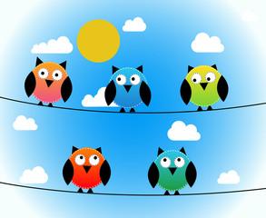 Five owls day
