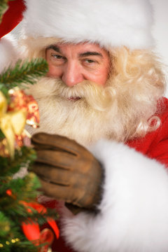 Real Santa Claus decorating Christmas tree