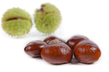 Fresh sweet chestnuts