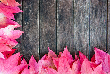 Naklejka na ściany i meble autumn leaves wood background