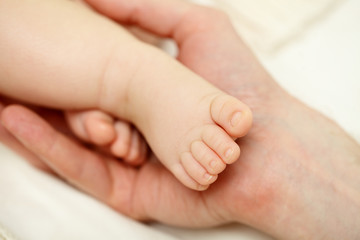 Little beautiful newborn baby foot in male hand
