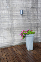 blumen vs. haus