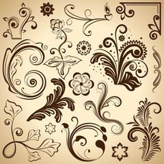 Floral vintage vector design elements.