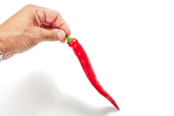 Peperoncino piccante in mano su sfondo bianco