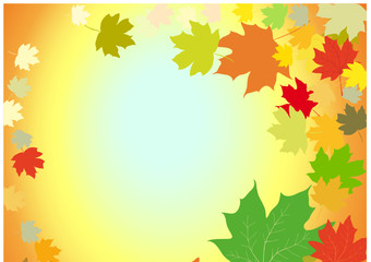 Autumn leaves  abstract background
