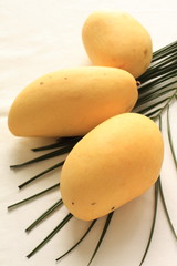 tropical fruit, mango