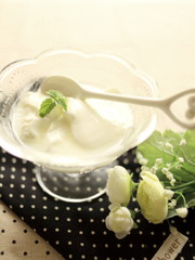 freshness yogurt and mint