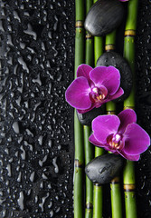 Spa setting with  orchid and bamboo grove ,zen stone