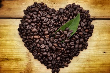 Roasted coffee beans