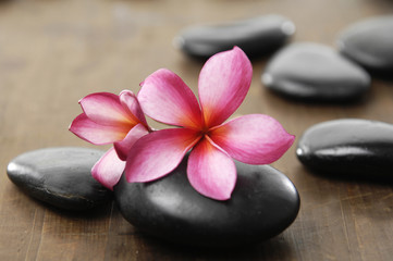 Fototapeta na wymiar stones with two frangipani flower on wooden board