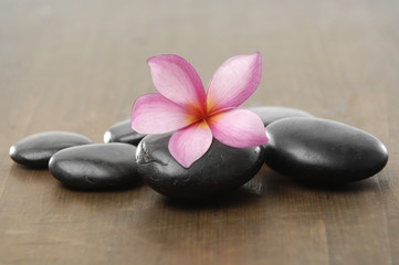 Fototapeta na wymiar zen stones with frangipani flower on wooden board
