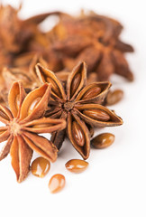 Whole Star Anise isolated on white background with shadow