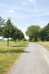 Fototapeta na wymiar A Path Along a Golf Course in Germany