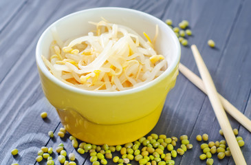 sprouts