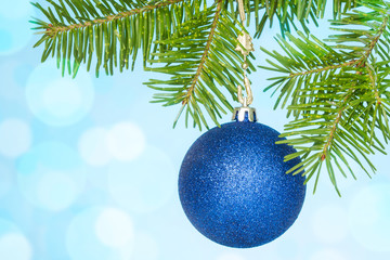 Fir branch with a blue bauble