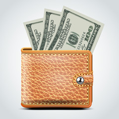 Brown Leather Wallet. Dollar USA . Vector