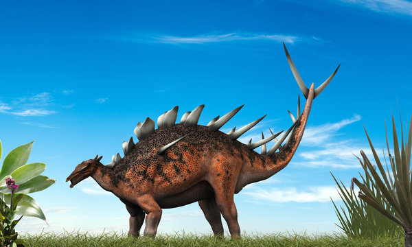 Kentrosaurus