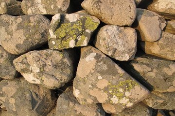 Fototapeta premium Lichen on Stone Wall