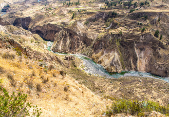 Colca Canyon, Peru,South America.