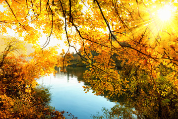 Herbstsonne am Fluss - obrazy, fototapety, plakaty