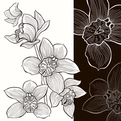 Papier Peint photo Lavable Fleurs noir et blanc Orchidées blanches et noires