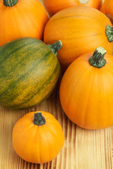 Speisekürbisse