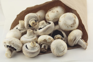 champignons