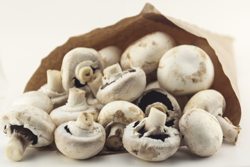 champignons