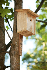 starling house