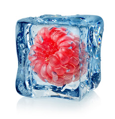 Berry raspberry in ice cube