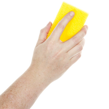 Female Hand Holding A Cleaning Sponge