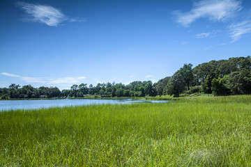 Salt Pond