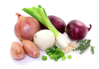 Lauchzwiebel, Schnittlauch