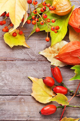 Autumnal border on wooden table, still life.