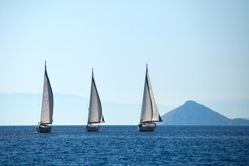 Sailing ship yachts with white sails in a row
