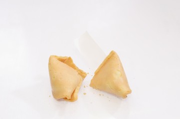 fortune cookie blanko
