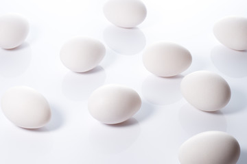 白背景に複数の卵