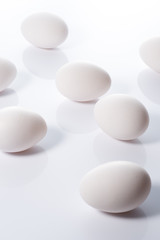 白背景に複数の卵