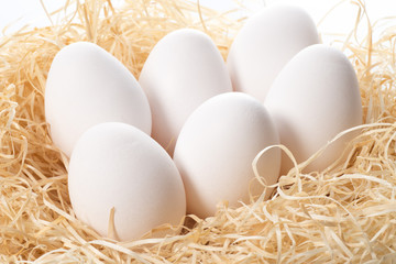 複数のニワトリの卵