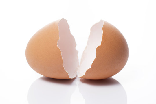 白背景に割れた卵の殻