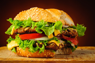 Bitten hamburger