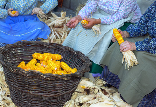 three sitting old women removing leaves from ears of corn