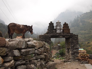 Rural nepal
