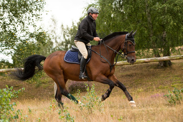 Reiter mit Braunem im Galopp
