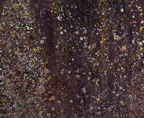 Texture background with earth tone colors