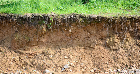 cut of soil