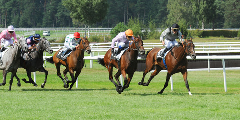 course hippique