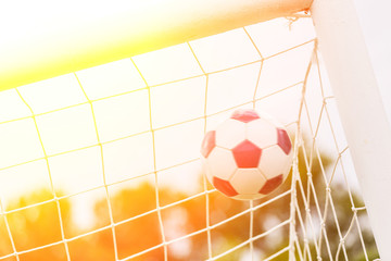 Soccer Ball into the Net