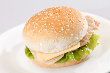 chicken sandwich