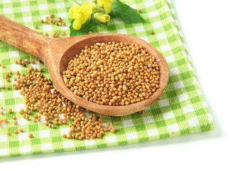 Fotobehang Mustard seeds in wooden spoon with mustard flower isolated © Africa Studio